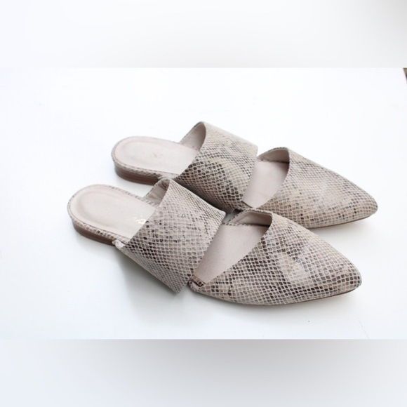 Matisse mules - Picture 1 of 12